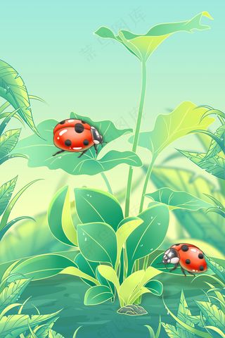 二十四节气惊蛰昆虫植物瓢虫草地(2)