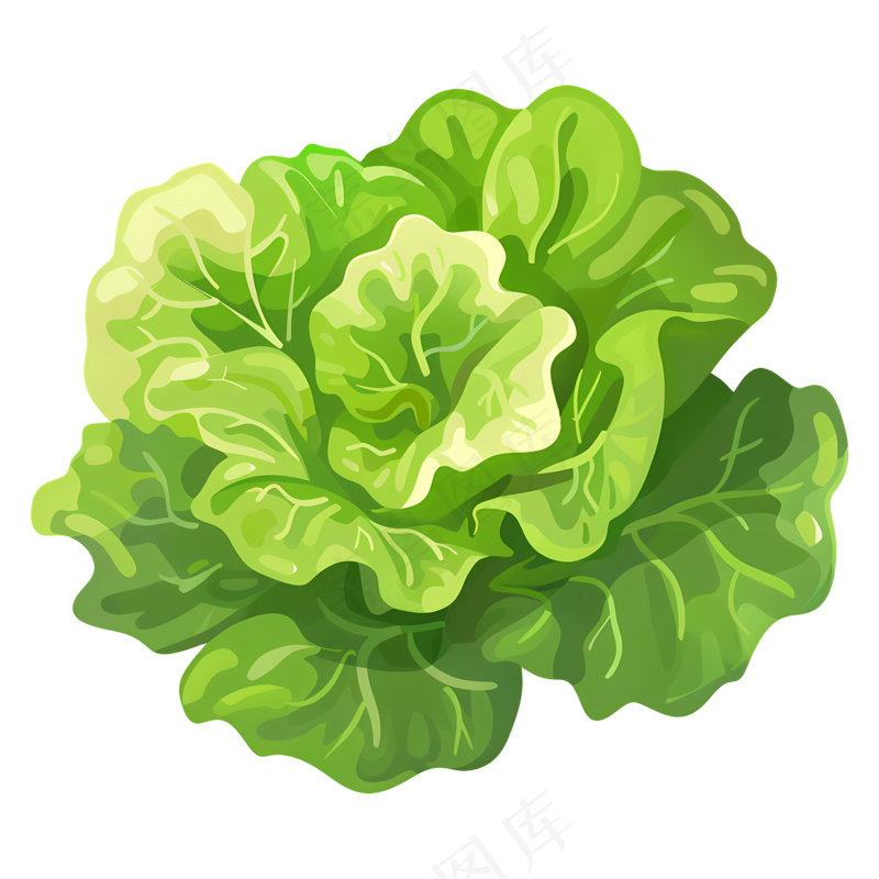 免抠一颗大白菜