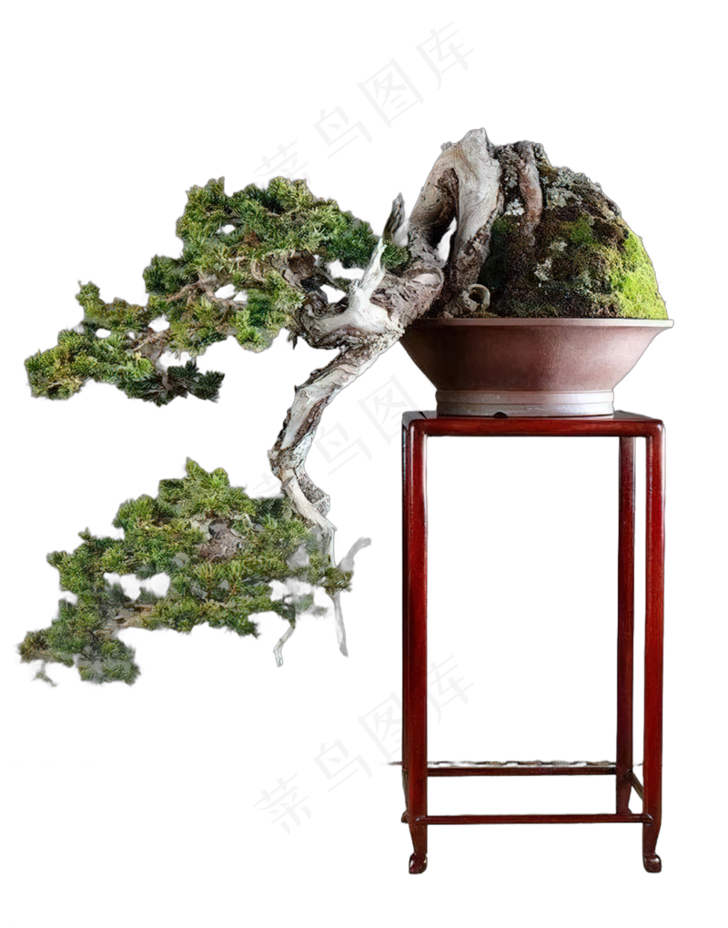 免抠盆景植物