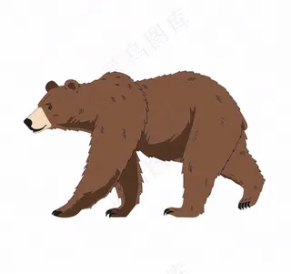 棕熊大熊动物卡通插画免抠