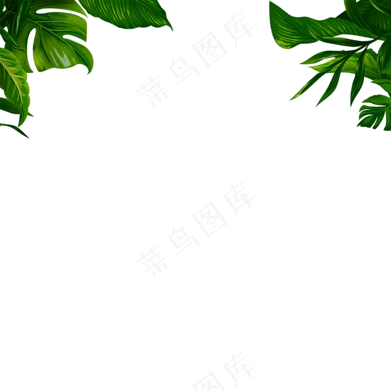800*800绿色叶子植物免扣png素材