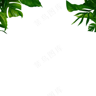 800*800绿色叶子植物免扣png素材