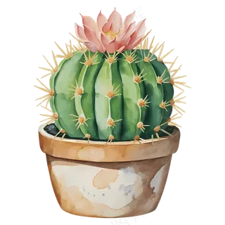 免抠手绘风在盆里带花的仙人球