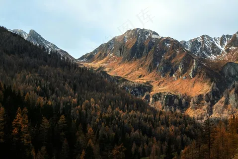 金色山谷中的巍峨雪山 金色山谷中的巍峨雪山