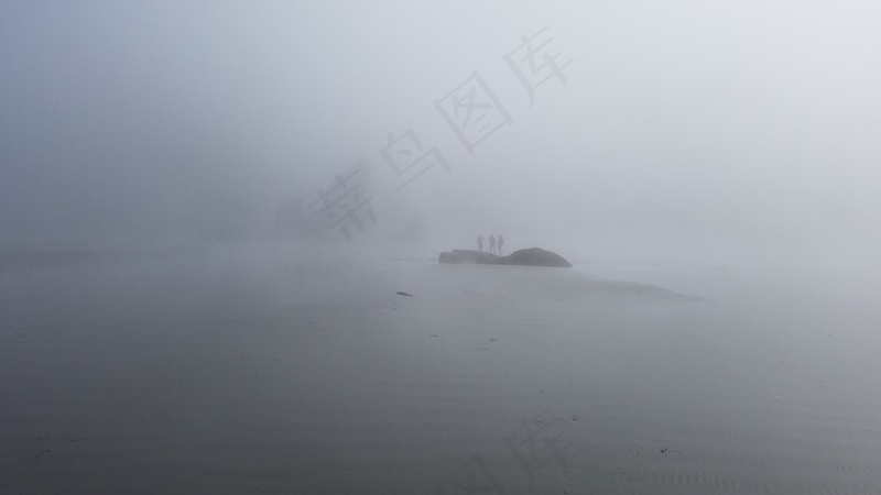 云雾森林图片