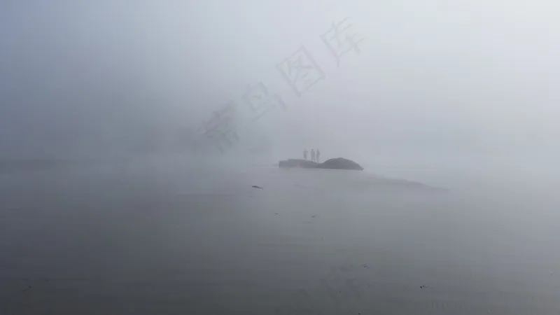 云雾森林图片