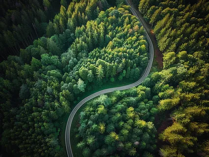 森林环山公路绿意摄影图 森林环山公路绿意摄影图