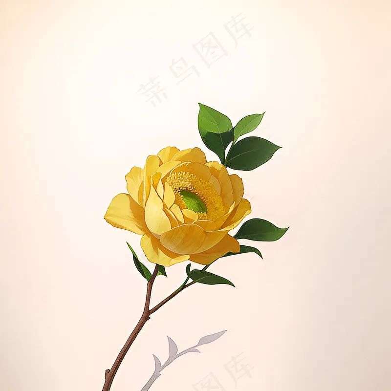 白色黄色手绘新中式风格花植物99