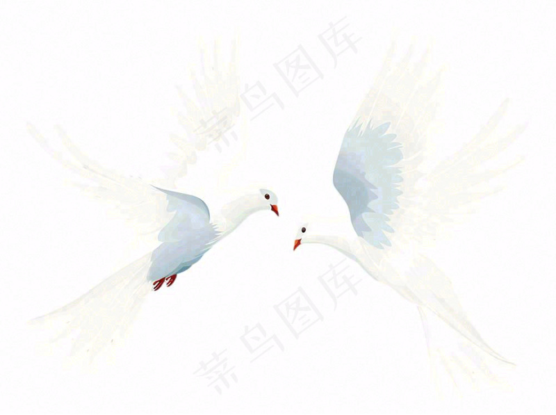 飞鸽白鸽和平鸽鸟卡通插画免抠(1264x944)