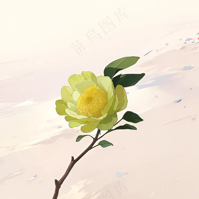 白色黄色手绘新中式风格花植物47