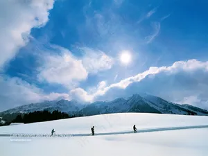 冰景  雪景  冬季风景