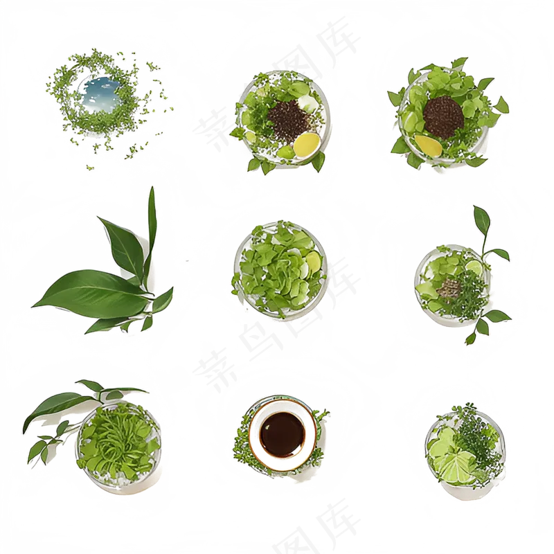 手绘练习小植物花草系列21