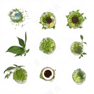 手绘练习小植物花草系列21