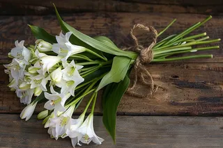 白花花朵鲜花绿叶花束摄影图