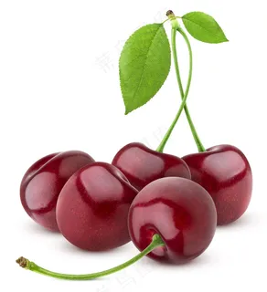 樱桃 (18)白底图