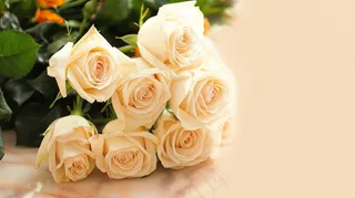 玫瑰花鲜花妇女节礼物摄影图