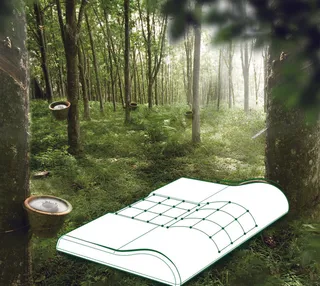 慧人家纺活动【【软膜灯箱布】中胶颈椎健康枕-1-710×795,1个