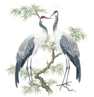 一对仙鹤站在松树上古风插画免抠