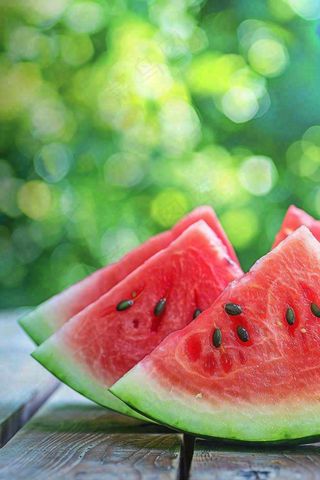 夏日避暑西瓜大树下阴凉立夏大暑小暑夏至摄影图