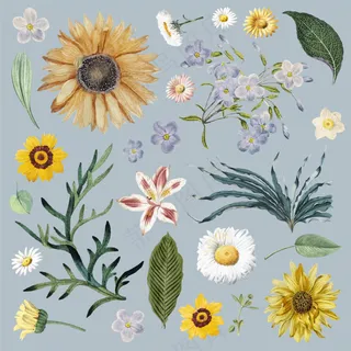 装饰花元素集合矢量免扣AI素材