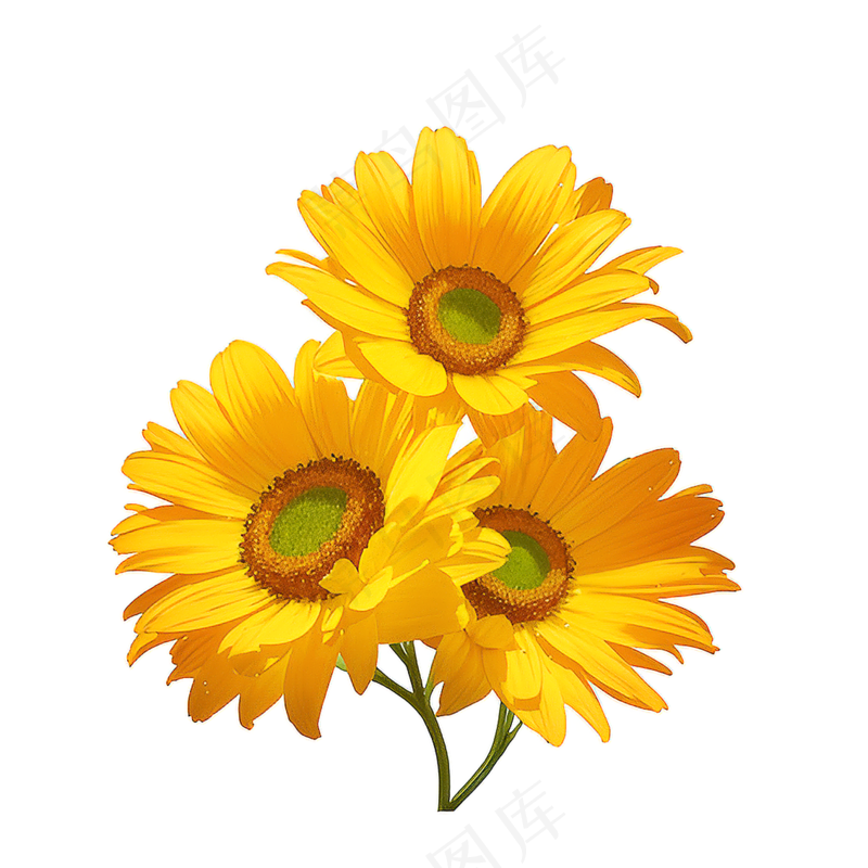黄色向日葵花朵免抠素材58