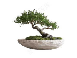 免抠盆景植物