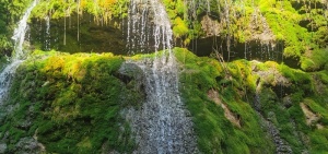 青苔流水图