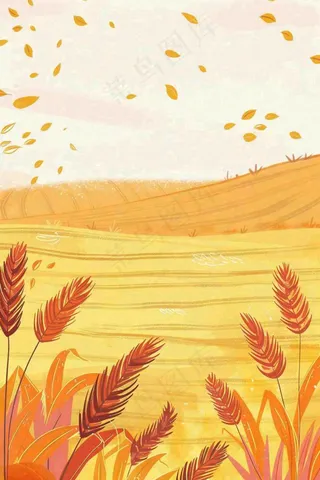 秋天金黄的麦田小麦黄树秋风丰收的季节立秋秋分卡通插画背景