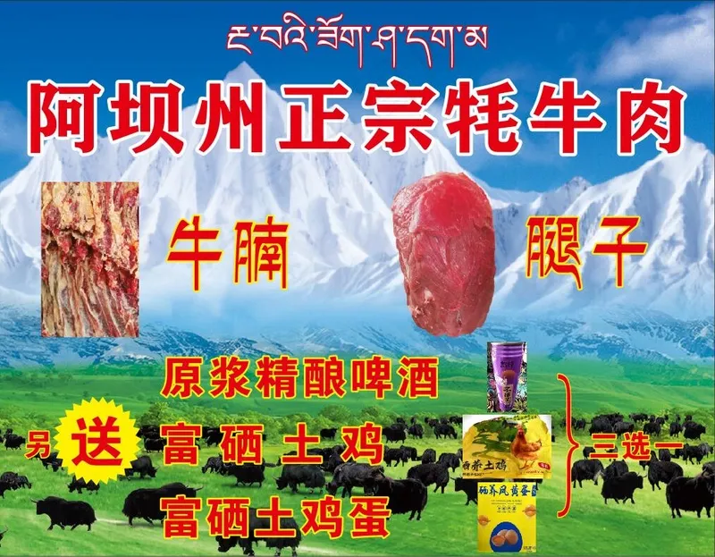 正宗牦牛肉cdr矢量模版下载