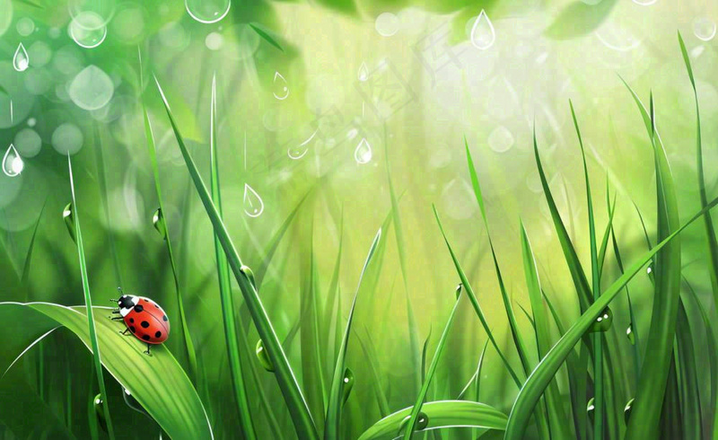 惊蛰雨水谷雨春天瓢虫昆虫绿色嫩草下雨天卡通插画背景(1408x864)