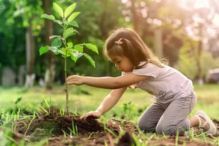 植树树苗保护环境摄影图
