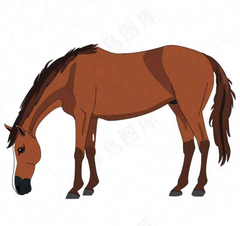 骏马马匹动物卡通插画免抠(1088x1024)
