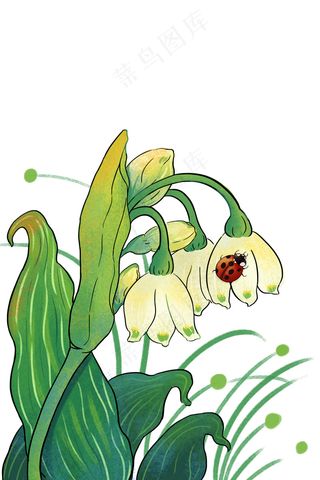 二十四节气惊蛰植物瓢虫绿色