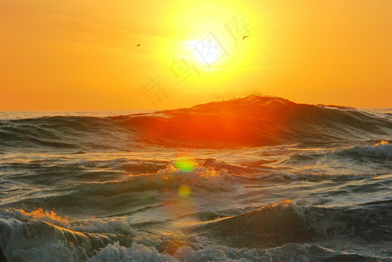 金色海浪中的落日余晖