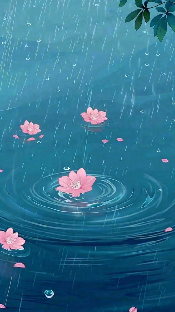 雨天雨滴低落水面泛起涟漪粉色花朵雨水谷雨寒露背景(816x1456)