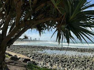 滨海热带风情与城市天际线