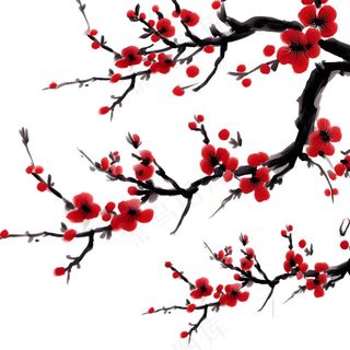 梅花红色冬天国画水彩画免抠