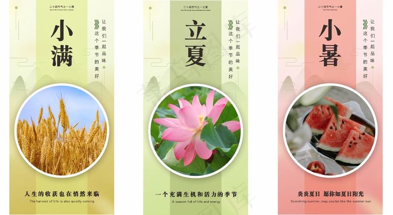 简约大气小满夏天节日季节系列