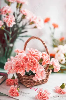 康乃馨鲜花花束摄影图
