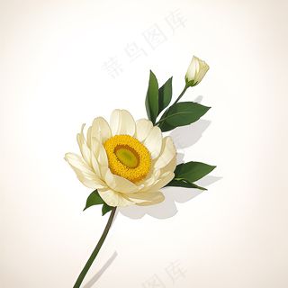 白色黄色手绘新中式风格花植物103