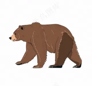 棕熊大熊动物卡通插画免抠
