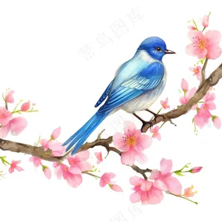 春桃花樱花树枝蓝鸟水彩画卡通插画免抠
