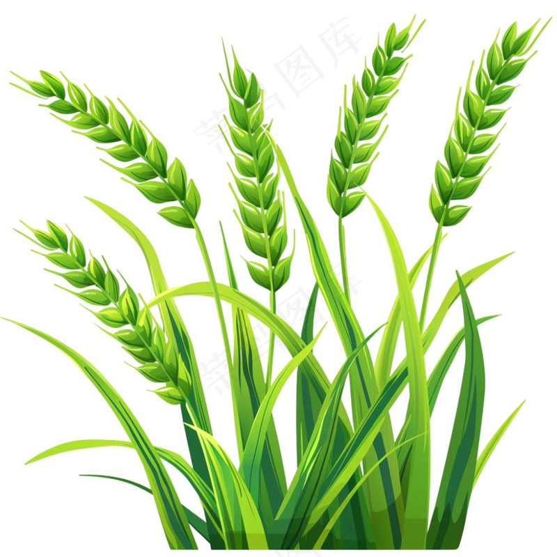 绿色小麦麦穗芒种小满卡通插画免抠