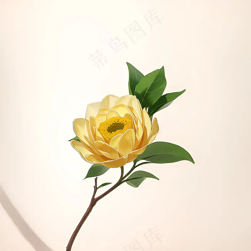 白色黄色手绘新中式风格花植物44