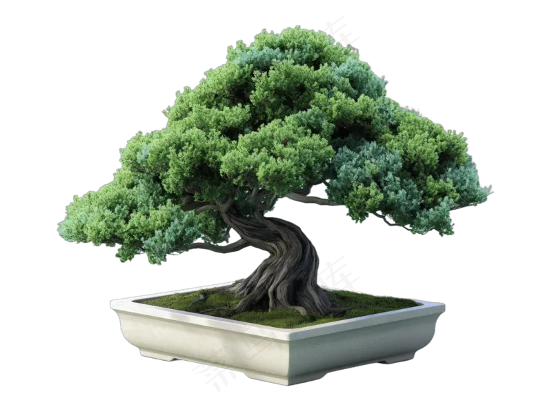 免抠盆景植物