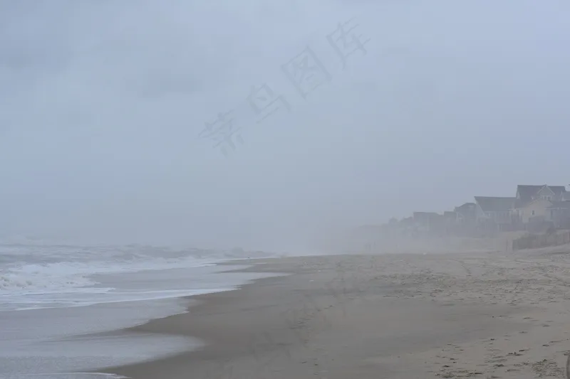 云雾森林图片