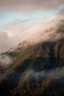 云雾森林图片 云雾森林图片