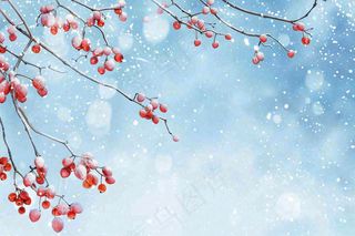 冬天白雪覆盖的红色果实白霜霜降小雪大雪水彩插画背景