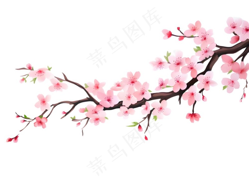 粉色樱花桃花枝条春天卡通插画免抠(1900x1418)