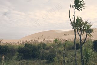 湖泊山峰图片